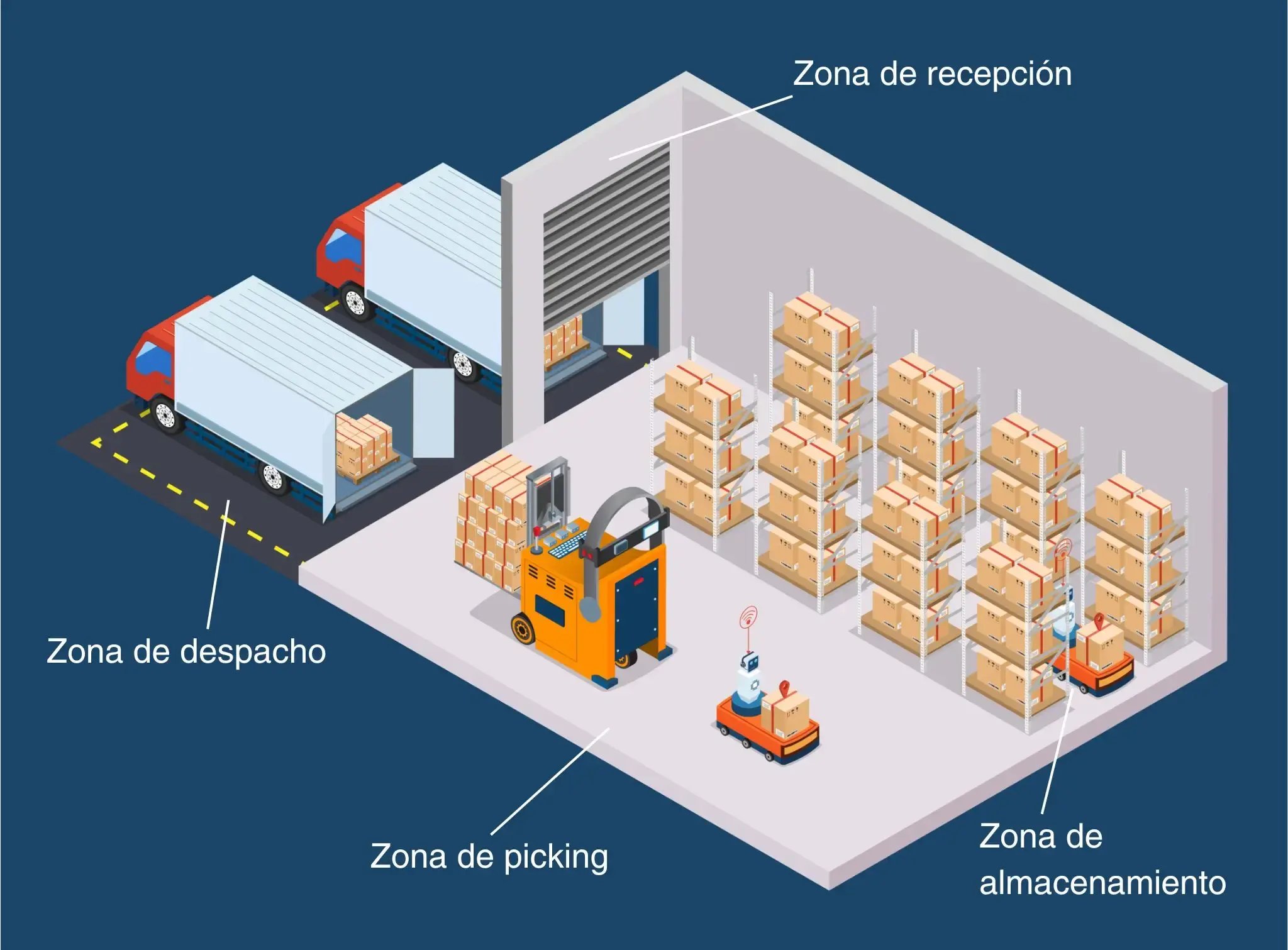 Layout de bodega