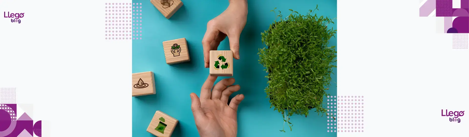 Descubre los beneficios de la logística verde para tu negocio